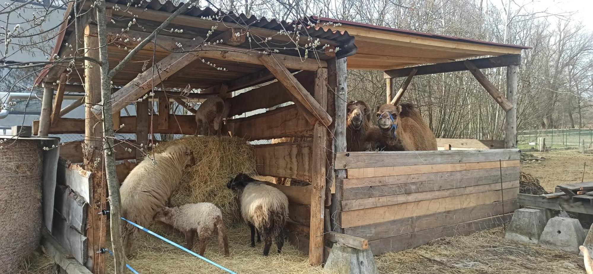 Apartmán u Kočky Blansko Exterior foto